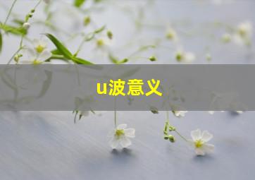 u波意义