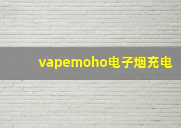 vapemoho电子烟充电