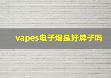 vapes电子烟是好牌子吗