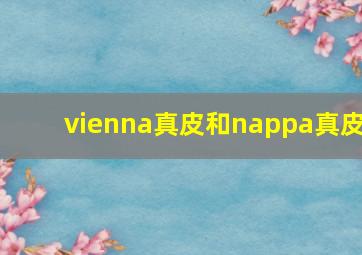 vienna真皮和nappa真皮