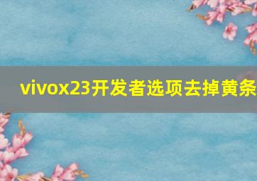 vivox23开发者选项去掉黄条