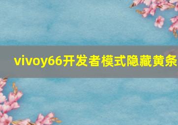 vivoy66开发者模式隐藏黄条