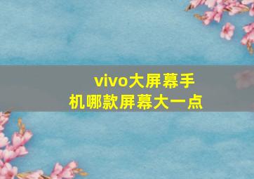 vivo大屏幕手机哪款屏幕大一点