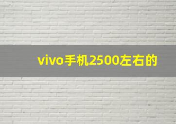 vivo手机2500左右的