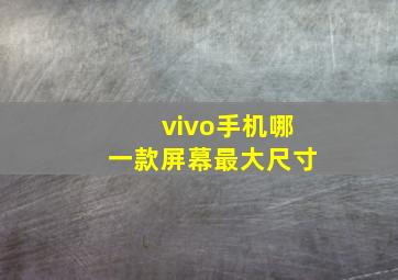 vivo手机哪一款屏幕最大尺寸