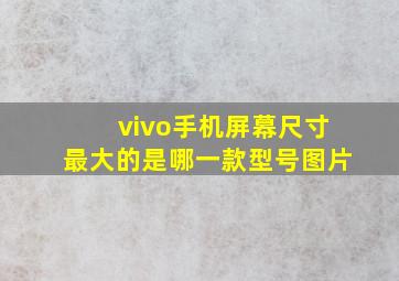 vivo手机屏幕尺寸最大的是哪一款型号图片