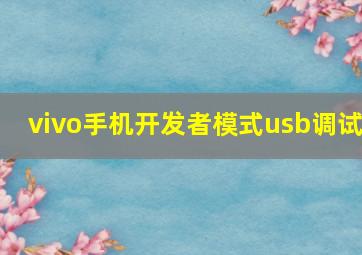 vivo手机开发者模式usb调试