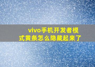 vivo手机开发者模式黄条怎么隐藏起来了