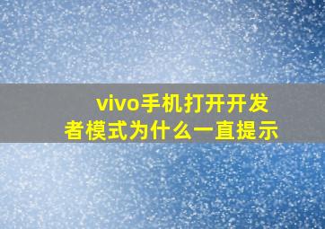 vivo手机打开开发者模式为什么一直提示