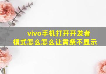 vivo手机打开开发者模式怎么怎么让黄条不显示