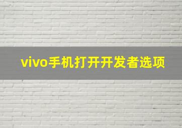 vivo手机打开开发者选项