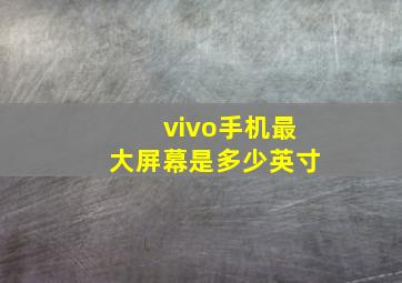 vivo手机最大屏幕是多少英寸