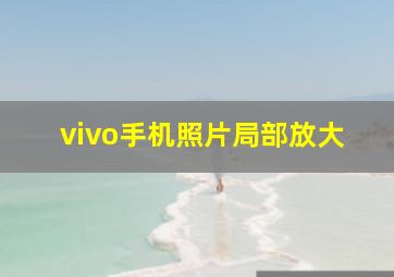 vivo手机照片局部放大