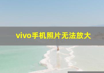 vivo手机照片无法放大