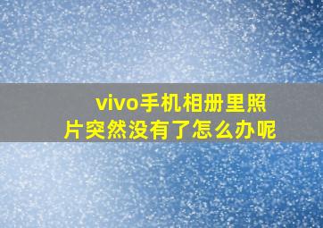 vivo手机相册里照片突然没有了怎么办呢