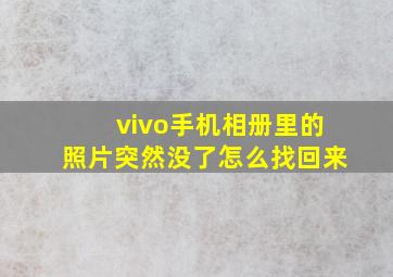 vivo手机相册里的照片突然没了怎么找回来