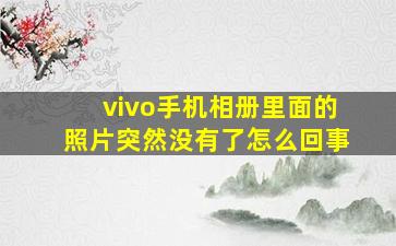 vivo手机相册里面的照片突然没有了怎么回事