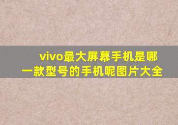 vivo最大屏幕手机是哪一款型号的手机呢图片大全