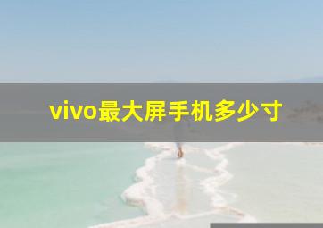 vivo最大屏手机多少寸