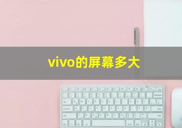 vivo的屏幕多大