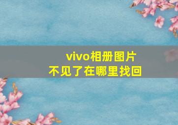 vivo相册图片不见了在哪里找回