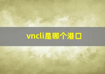 vncli是哪个港口