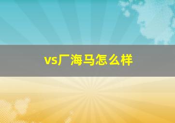 vs厂海马怎么样