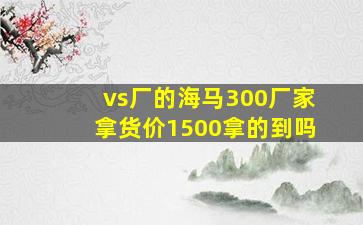 vs厂的海马300厂家拿货价1500拿的到吗