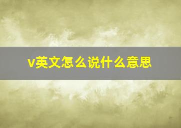 v英文怎么说什么意思