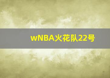 wNBA火花队22号