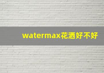 watermax花洒好不好