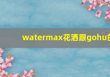 watermax花洒跟gohu的