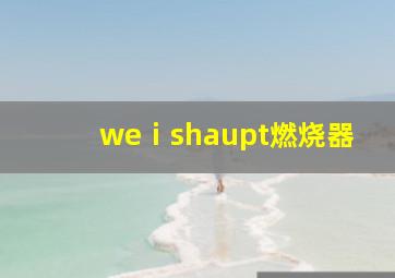 weⅰshaupt燃烧器