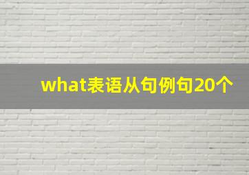 what表语从句例句20个