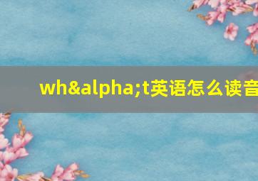 whαt英语怎么读音