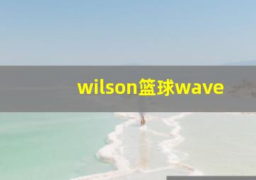 wilson篮球wave