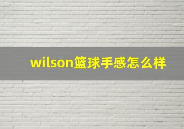 wilson篮球手感怎么样