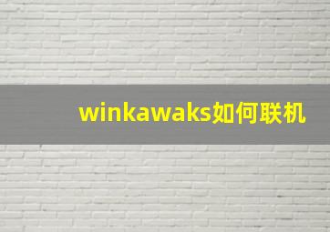 winkawaks如何联机