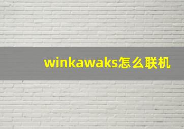 winkawaks怎么联机