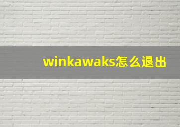 winkawaks怎么退出