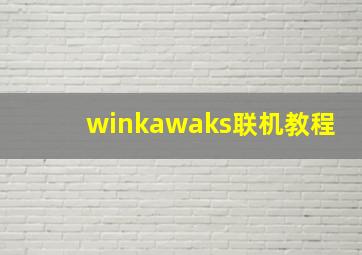 winkawaks联机教程