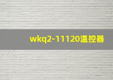 wkq2-11120温控器