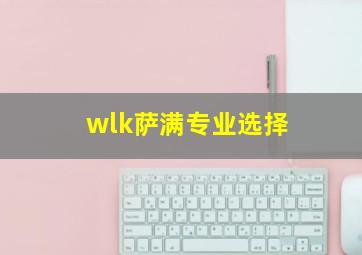 wlk萨满专业选择