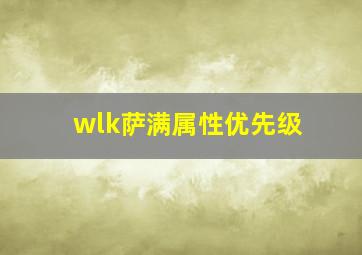 wlk萨满属性优先级