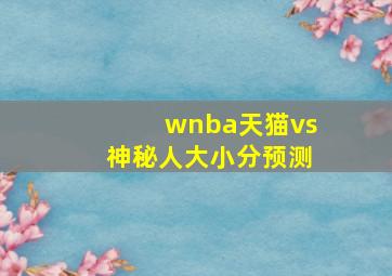 wnba天猫vs神秘人大小分预测