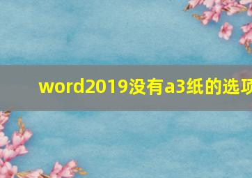 word2019没有a3纸的选项