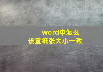 word中怎么设置纸张大小一致