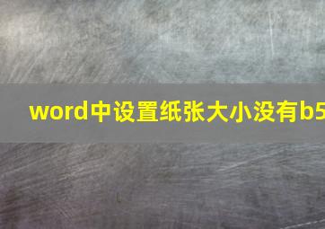 word中设置纸张大小没有b5