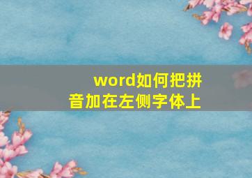 word如何把拼音加在左侧字体上