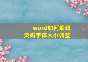 word如何编辑页码字体大小调整